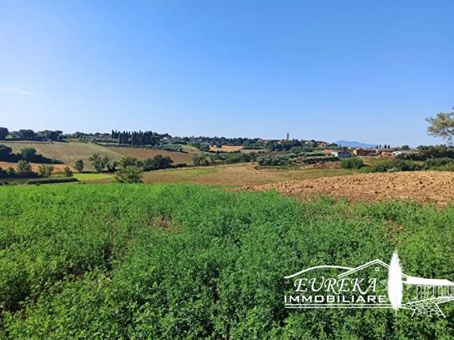 Immagine 14 di Rustico / casale in vendita  in Pozzuolo a Castiglione Del Lago