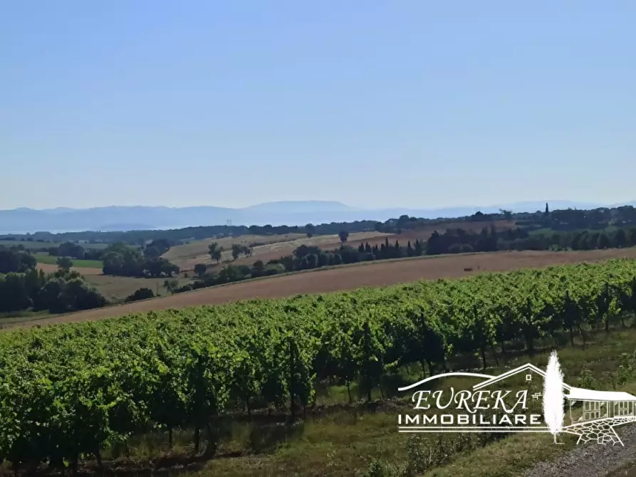Immagine 15 di Rustico / casale in vendita  in Pozzuolo a Castiglione Del Lago