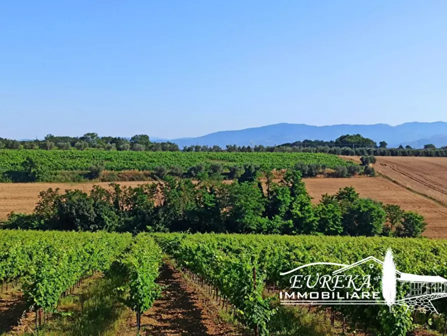 Immagine 16 di Rustico / casale in vendita  in Pozzuolo a Castiglione Del Lago