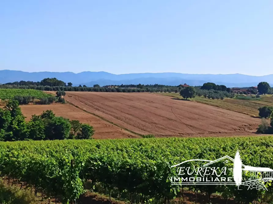 Immagine 17 di Rustico / casale in vendita  in Pozzuolo a Castiglione Del Lago
