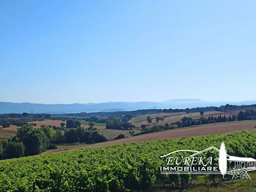 Immagine 18 di Rustico / casale in vendita  in Pozzuolo a Castiglione Del Lago