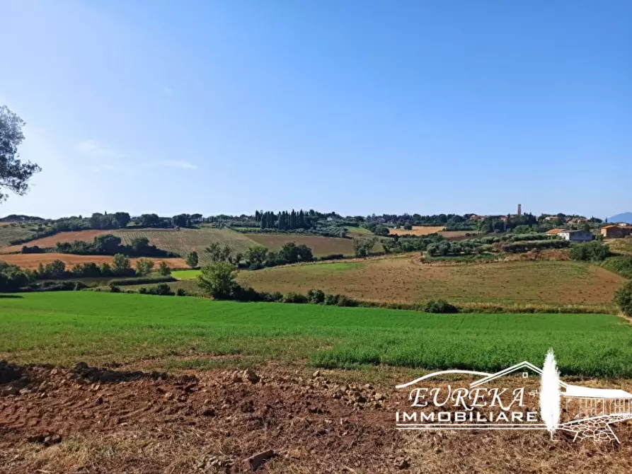 Immagine 19 di Rustico / casale in vendita  in Pozzuolo a Castiglione Del Lago