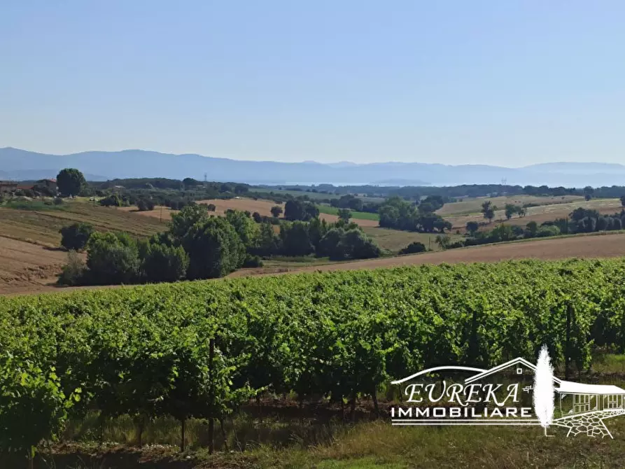Immagine 20 di Rustico / casale in vendita  in Pozzuolo a Castiglione Del Lago