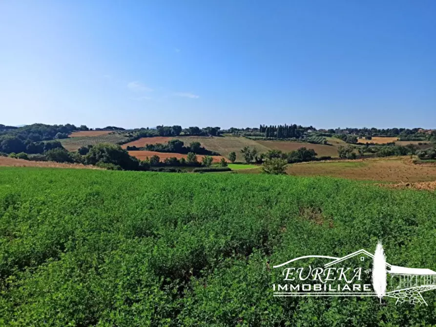 Immagine 21 di Rustico / casale in vendita  in Pozzuolo a Castiglione Del Lago
