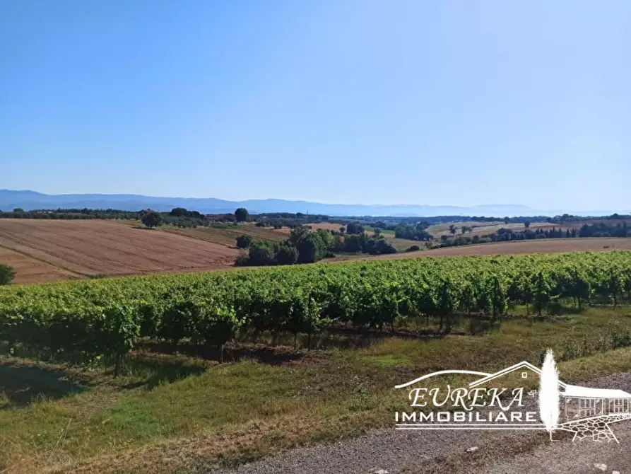 Immagine 22 di Rustico / casale in vendita  in Pozzuolo a Castiglione Del Lago