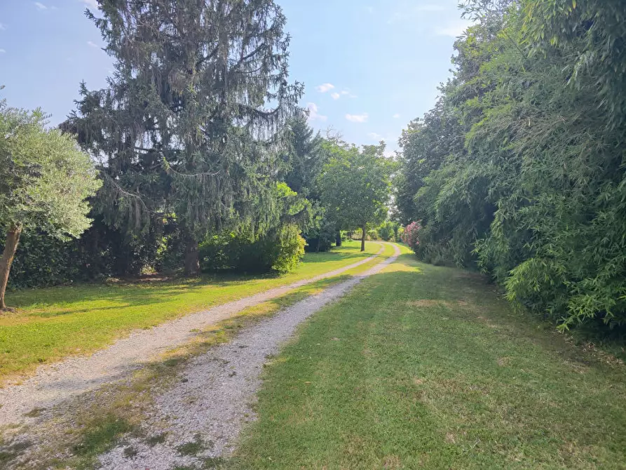 Immagine 28 di Casa bifamiliare in vendita  in via cairo a Padova