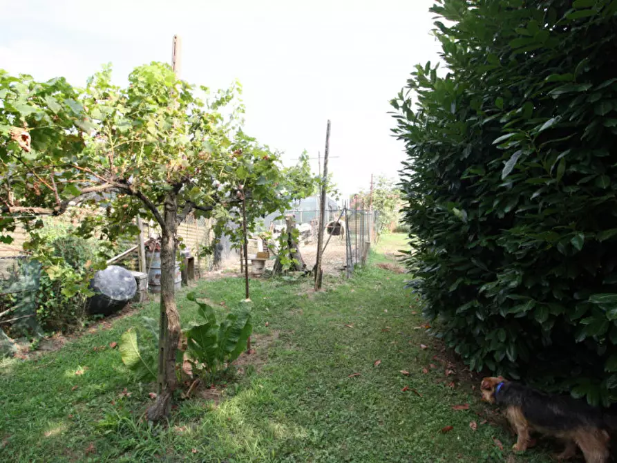 Immagine 31 di Casa bifamiliare in vendita  in via cairo a Padova