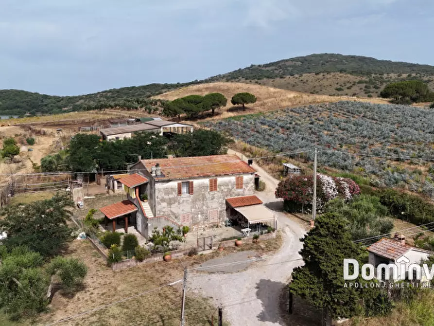 Immagine 4 di Rustico / casale in vendita  in Strada Valmarina a Capalbio