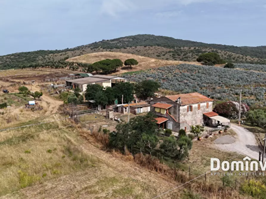 Immagine 5 di Rustico / casale in vendita  in Strada Valmarina a Capalbio