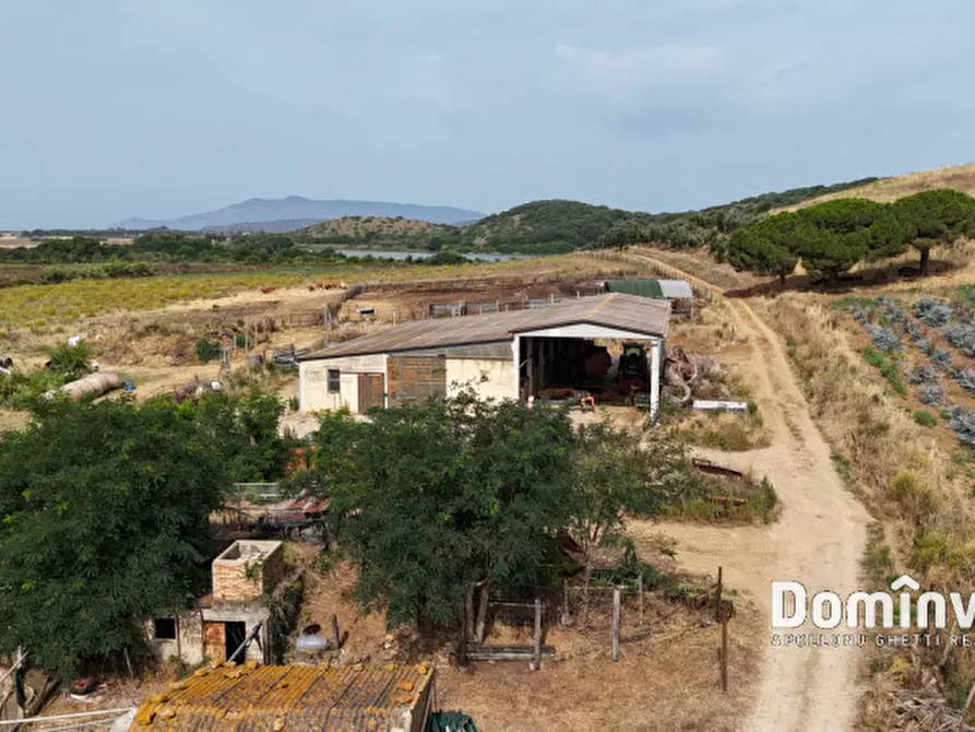 Immagine 8 di Rustico / casale in vendita  in Strada Valmarina a Capalbio