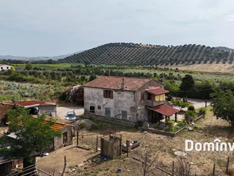 Immagine 11 di Rustico / casale in vendita  in Strada Valmarina a Capalbio
