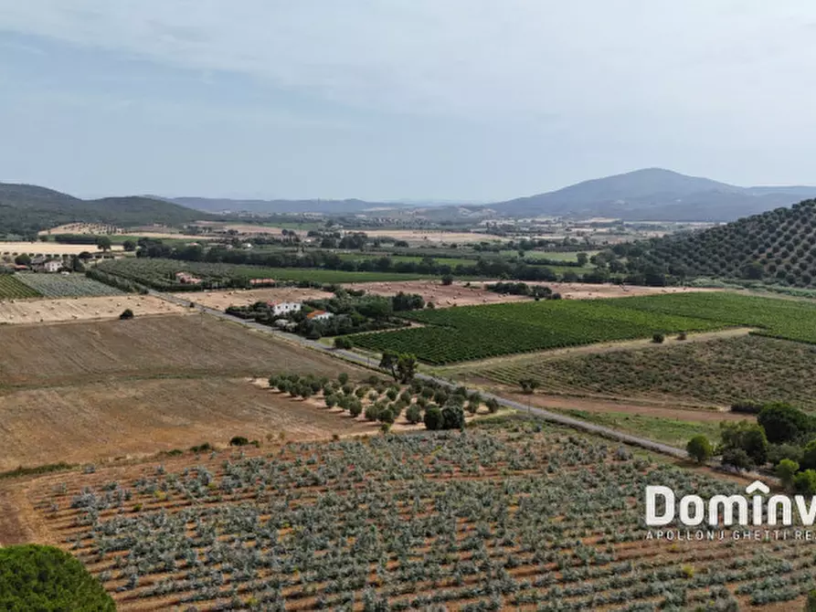 Immagine 14 di Rustico / casale in vendita  in Strada Valmarina a Capalbio