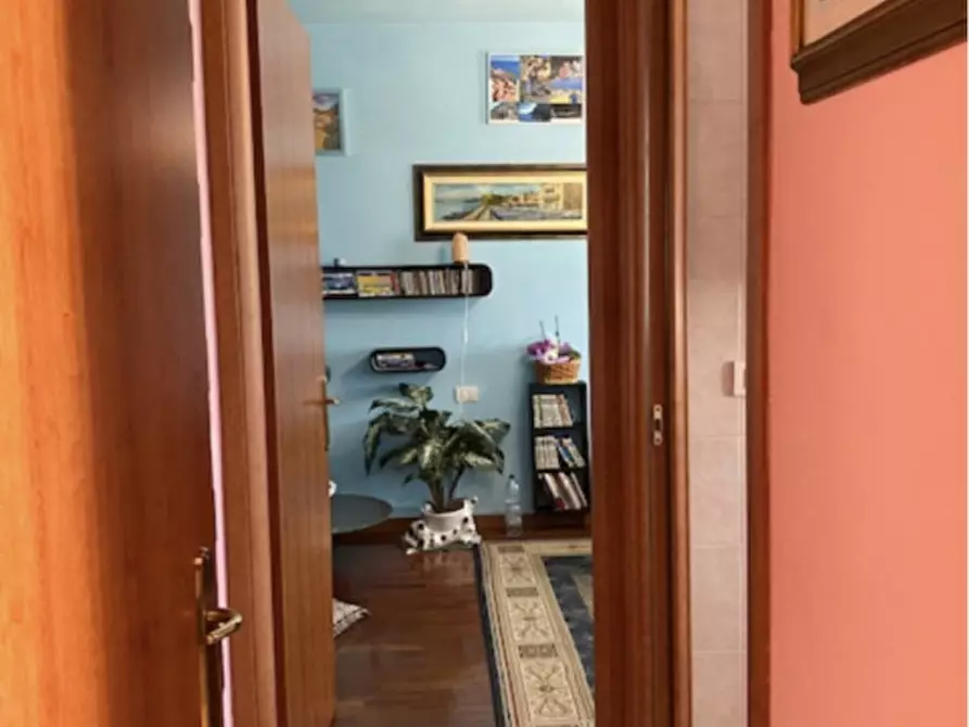 Immagine 3 di Appartamento in vendita  a Legnaro