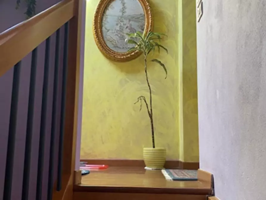 Immagine 4 di Appartamento in vendita  a Legnaro