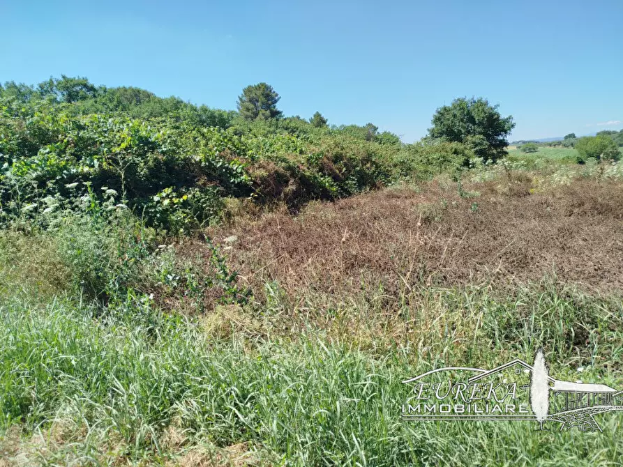 Immagine 2 di Terreno in vendita  in castiglione del lago via roma 152 a Castiglione Del Lago