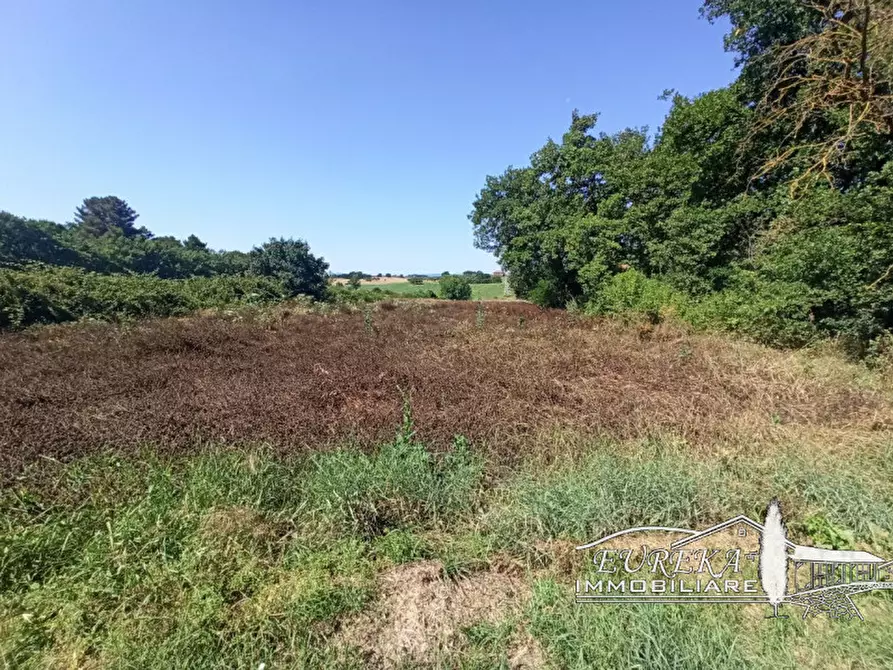 Immagine 4 di Terreno in vendita  in castiglione del lago via roma 152 a Castiglione Del Lago