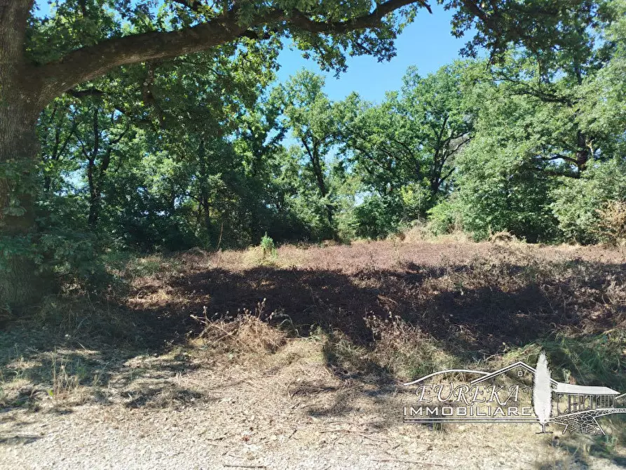 Immagine 5 di Terreno in vendita  in castiglione del lago via roma 152 a Castiglione Del Lago