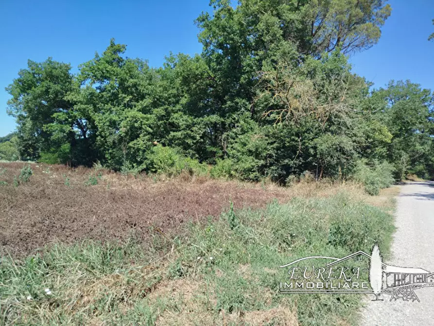Immagine 6 di Terreno in vendita  in castiglione del lago via roma 152 a Castiglione Del Lago