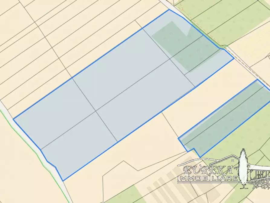 Immagine 7 di Terreno in vendita  in castiglione del lago via roma 152 a Castiglione Del Lago