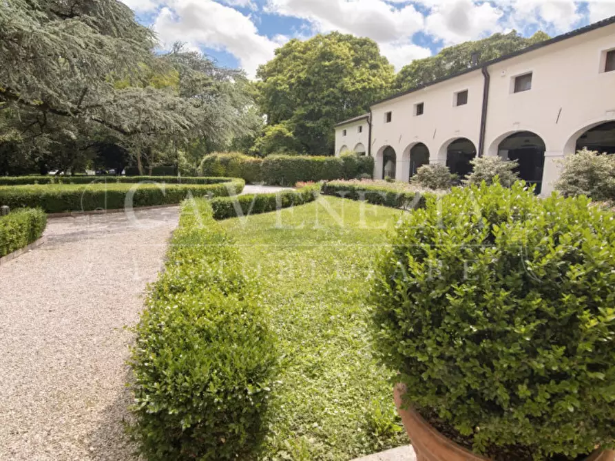 Immagine 31 di Appartamento in vendita  a Mogliano Veneto