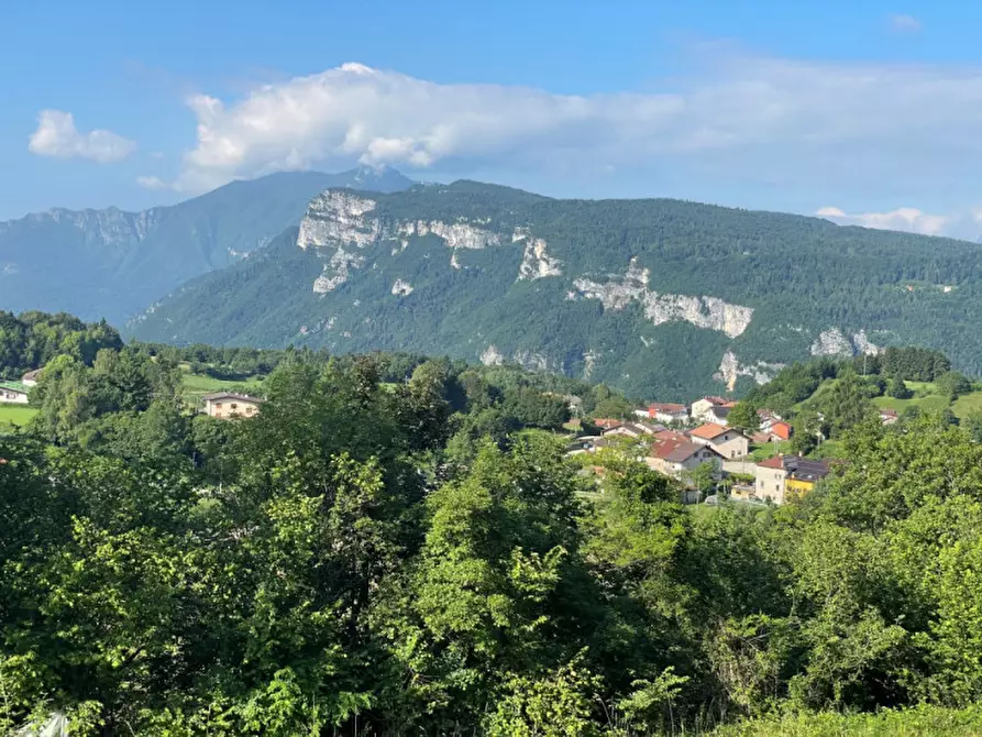 Immagine 8 di Terreno in vendita  in via Dal Pozzo 80 a Rotzo