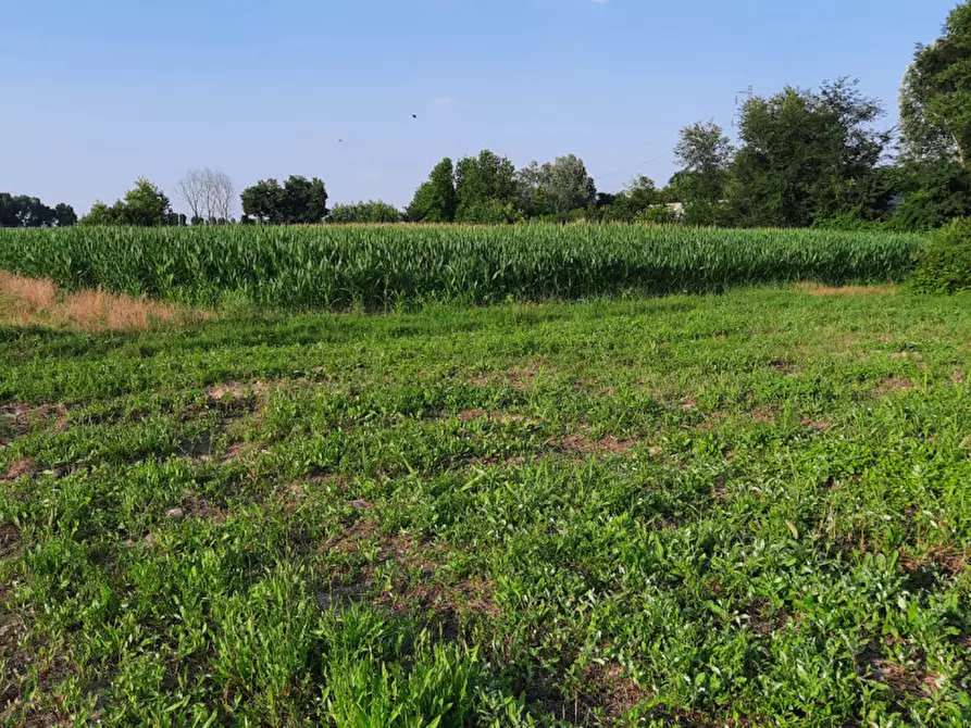 Immagine 1 di Terreno in vendita  in Via Adige a Padova