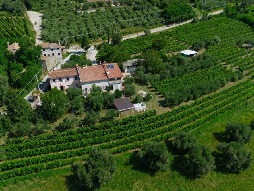 Immagine 3 di Rustico / casale in vendita  in Via Sassoni a Cinto Euganeo