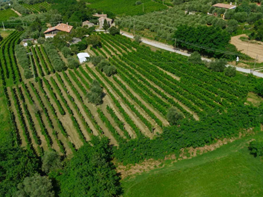 Immagine 4 di Rustico / casale in vendita  in Via Sassoni a Cinto Euganeo