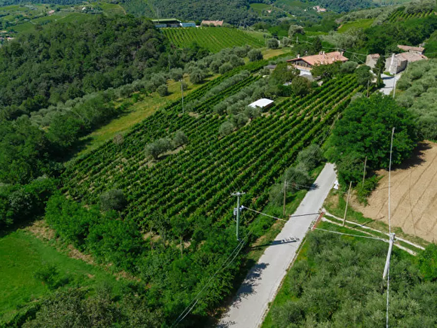 Immagine 5 di Rustico / casale in vendita  in Via Sassoni a Cinto Euganeo
