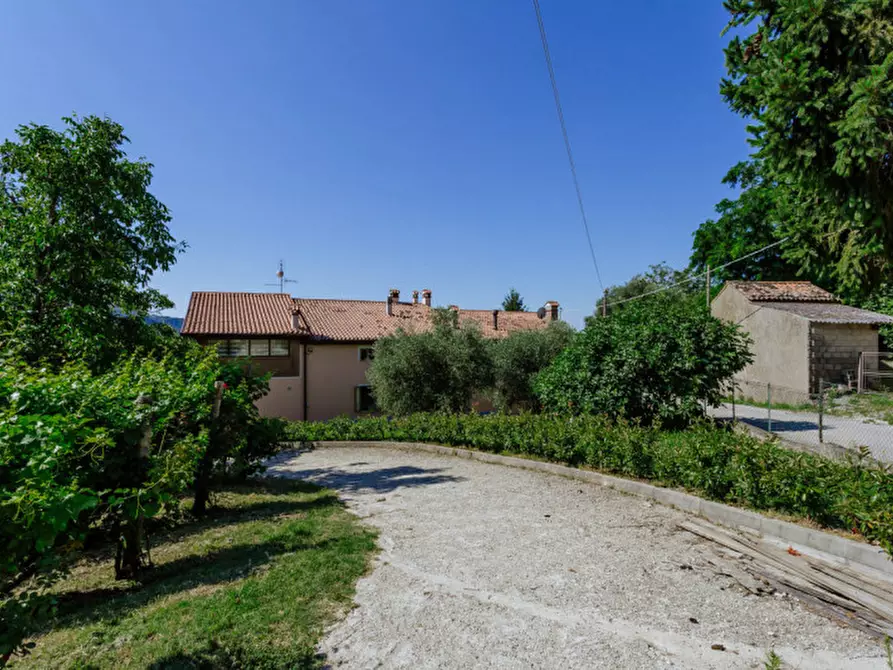 Immagine 41 di Rustico / casale in vendita  in Via Sassoni a Cinto Euganeo