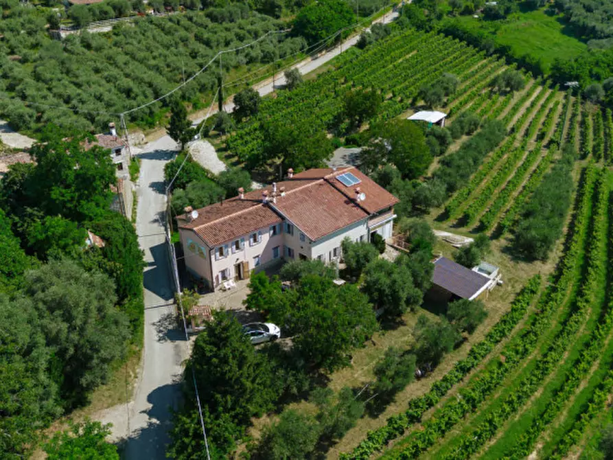 Immagine 44 di Rustico / casale in vendita  in Via Sassoni a Cinto Euganeo