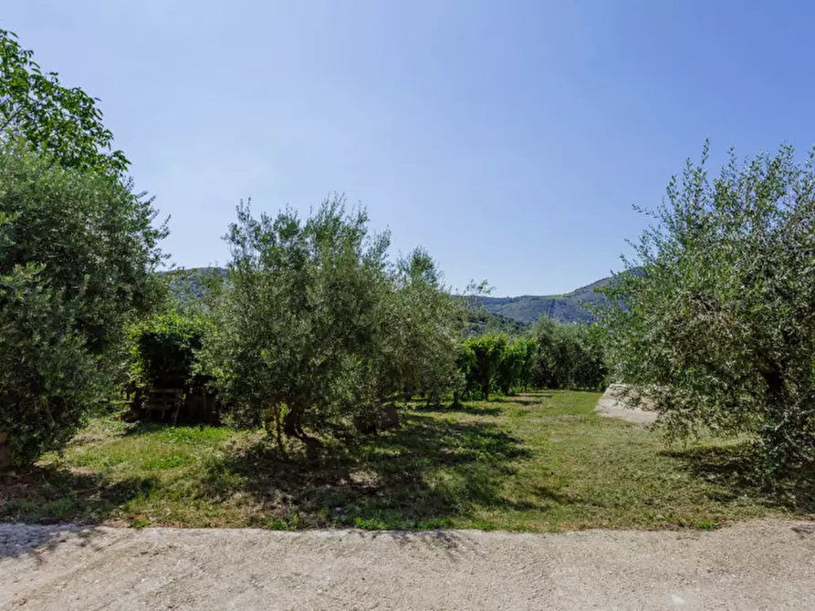 Immagine 45 di Rustico / casale in vendita  in Via Sassoni a Cinto Euganeo