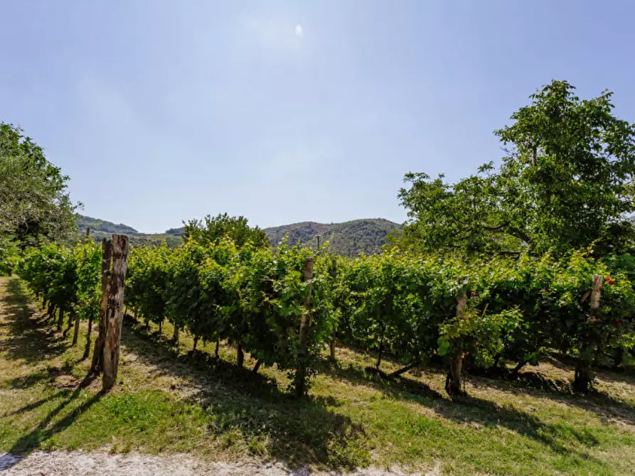 Immagine 46 di Rustico / casale in vendita  in Via Sassoni a Cinto Euganeo