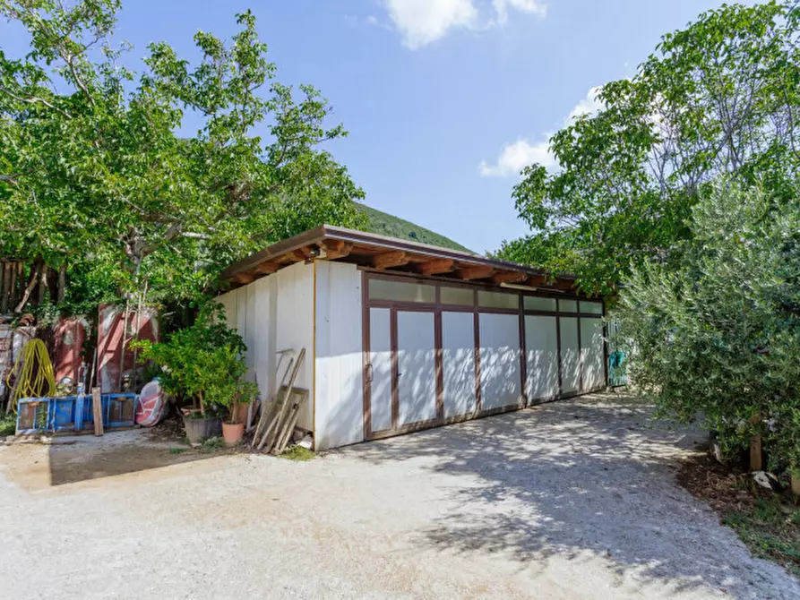 Immagine 49 di Rustico / casale in vendita  in Via Sassoni a Cinto Euganeo