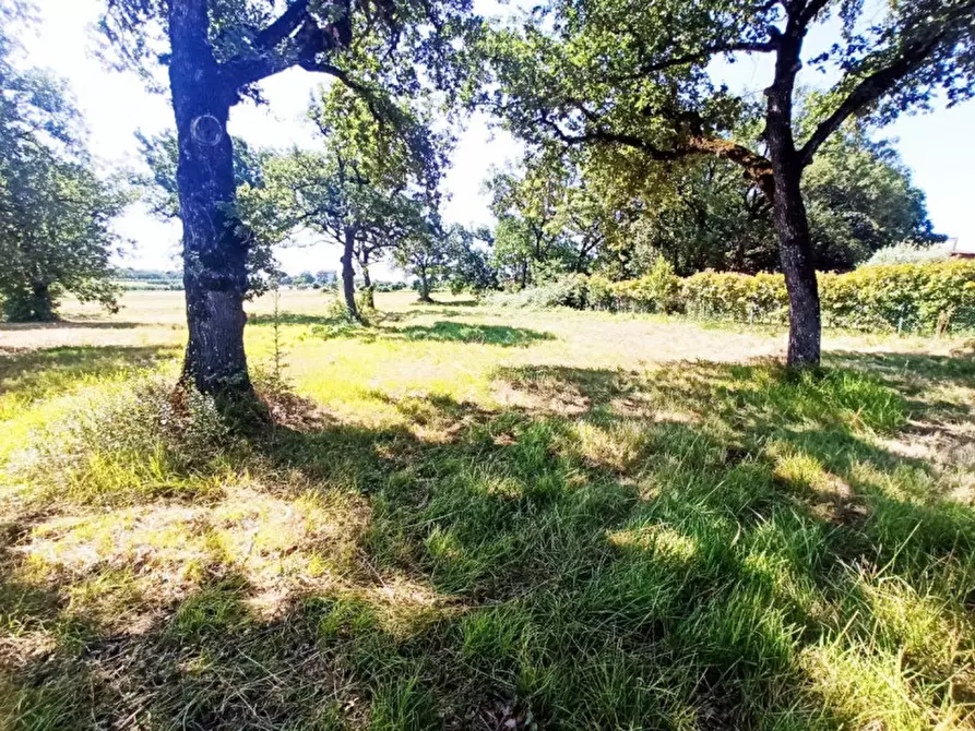 Immagine 1 di Terreno in vendita  in località Soccorso a Castiglione Del Lago