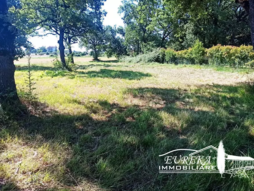 Immagine 2 di Terreno in vendita  in località Soccorso a Castiglione Del Lago