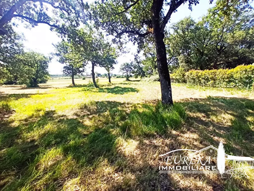 Immagine 3 di Terreno in vendita  in località Soccorso a Castiglione Del Lago