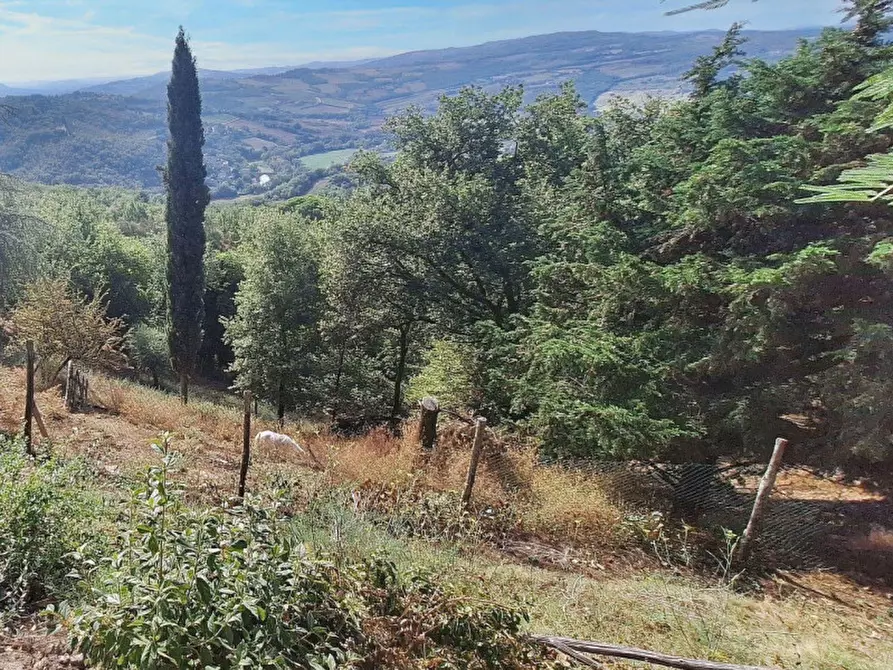 Immagine 5 di Casa indipendente in vendita  in Villa Francisc, N. snc a Todi
