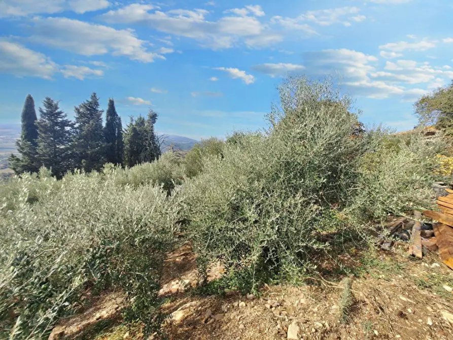 Immagine 9 di Casa indipendente in vendita  in Villa Francisc, N. snc a Todi