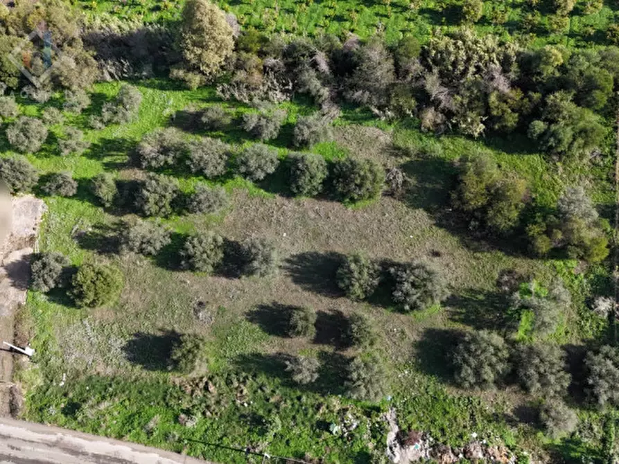 Immagine 1 di Terreno in vendita  in C.DA ALBANELLO SNC. a Palagonia