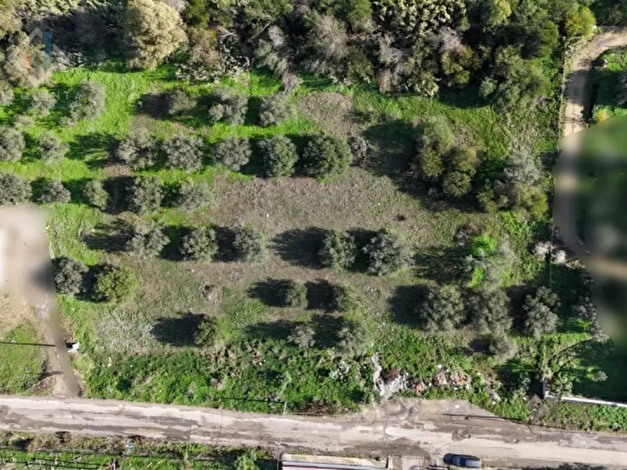 Immagine 2 di Terreno in vendita  in C.DA ALBANELLO SNC. a Palagonia