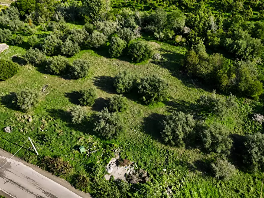Immagine 2 di Terreno in vendita  in C.DA ALBANELLO SNC. a Palagonia