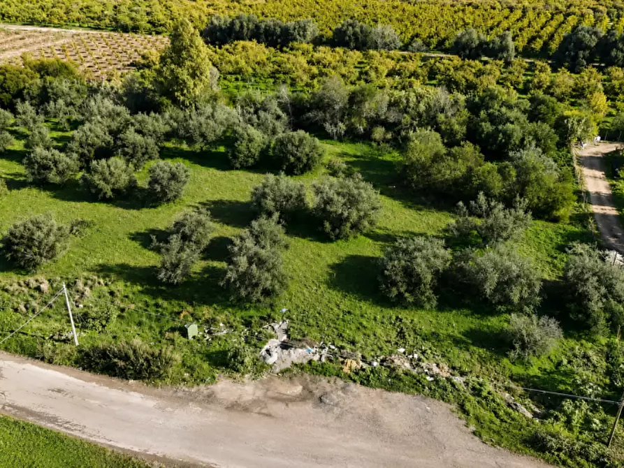 Immagine 3 di Terreno in vendita  in C.DA ALBANELLO SNC. a Palagonia