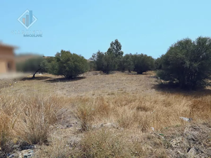 Immagine 4 di Terreno in vendita  in C.DA ALBANELLO SNC. a Palagonia