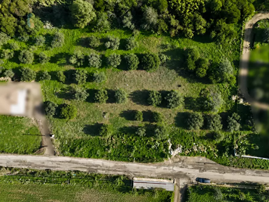 Immagine 4 di Terreno in vendita  in C.DA ALBANELLO SNC. a Palagonia