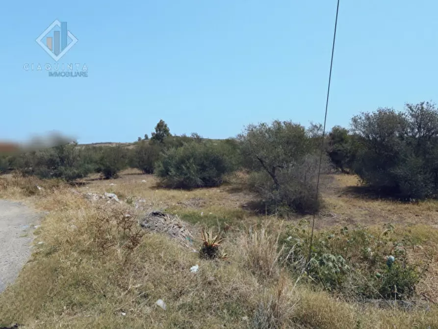 Immagine 5 di Terreno in vendita  in C.DA ALBANELLO SNC. a Palagonia