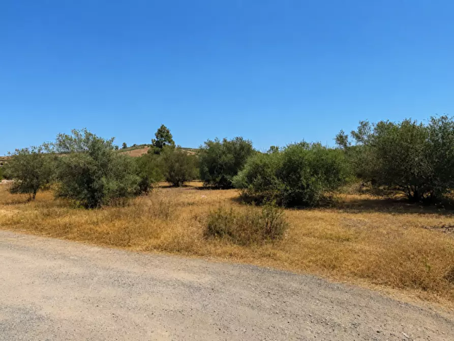 Immagine 5 di Terreno in vendita  in C.DA ALBANELLO SNC. a Palagonia