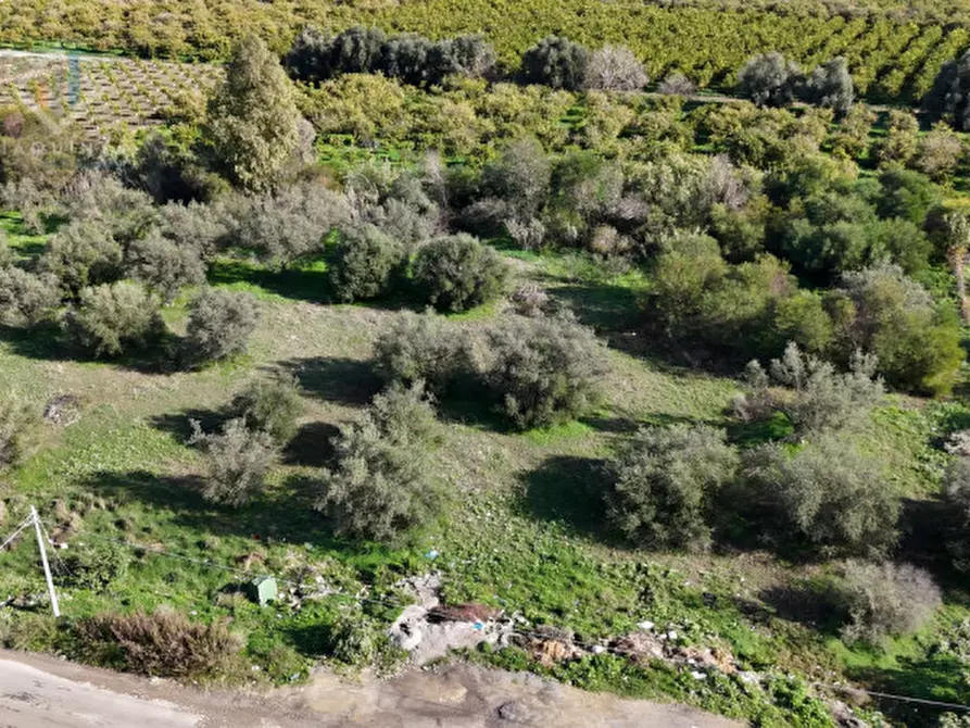 Immagine 6 di Terreno in vendita  in C.DA ALBANELLO SNC. a Palagonia