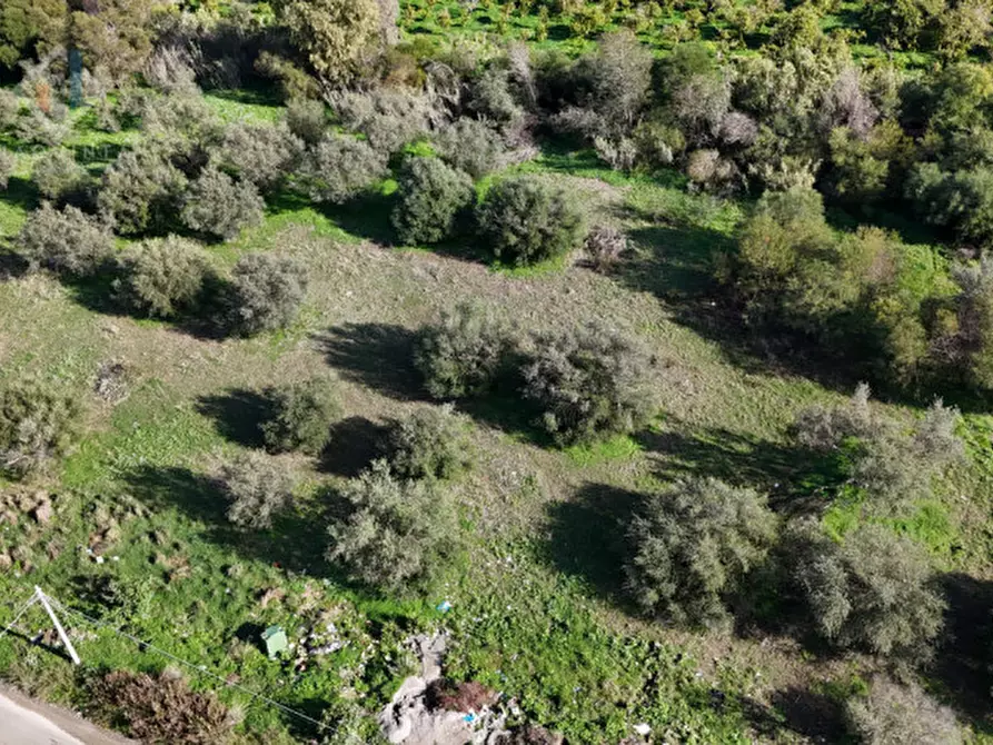 Immagine 7 di Terreno in vendita  in C.DA ALBANELLO SNC. a Palagonia