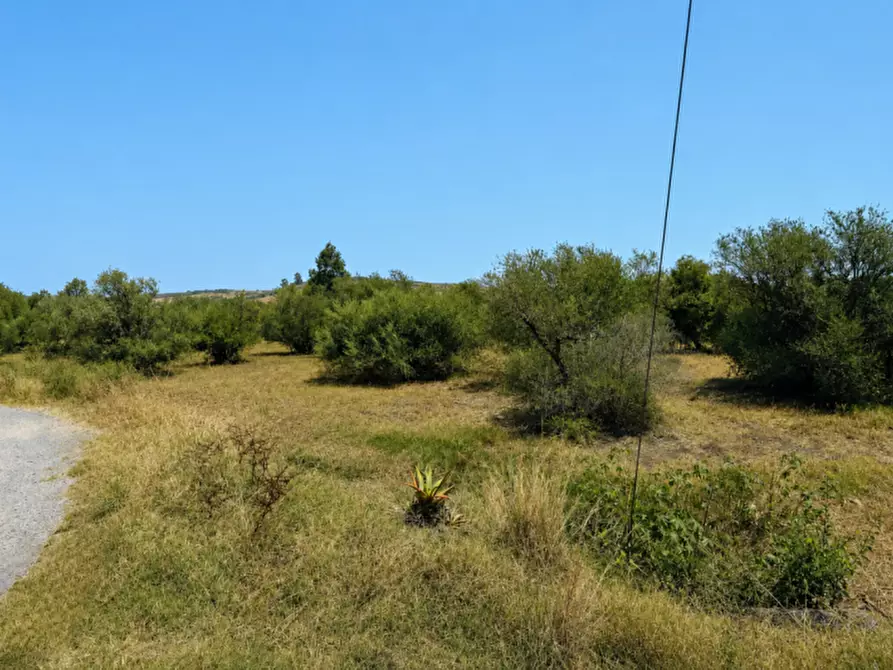 Immagine 7 di Terreno in vendita  in C.DA ALBANELLO SNC. a Palagonia